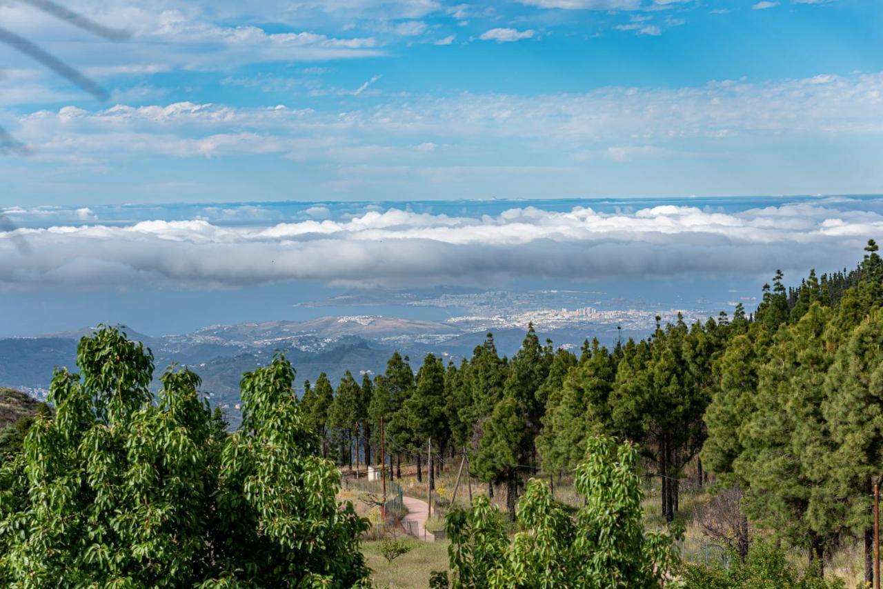 Roque Nublo Rural Houses I เบกา เด ซานมาเตโอ ภายนอก รูปภาพ